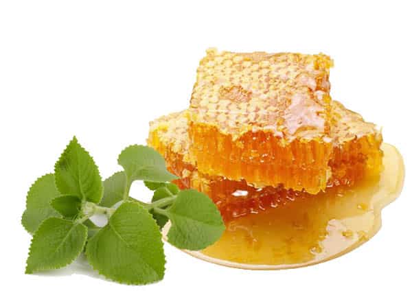 Lưu ý khi làm món rau tần chưng mật ong để trị ho cảm sốt